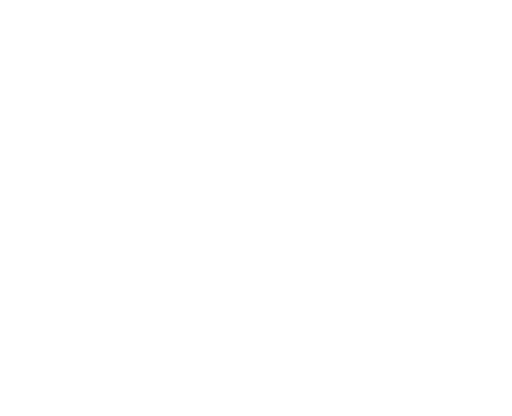 Logotipo da Dark Entity: um corvo de asas abertas em traço rasgado sobre a palavra DARK ENTITY
